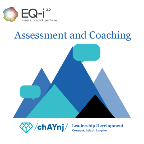 EQ Assessment & Coaching